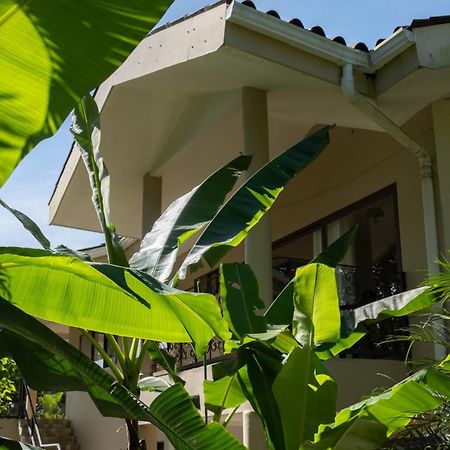 Sol Y Sombra Bed & Breakfast Bocas Town Dış mekan fotoğraf