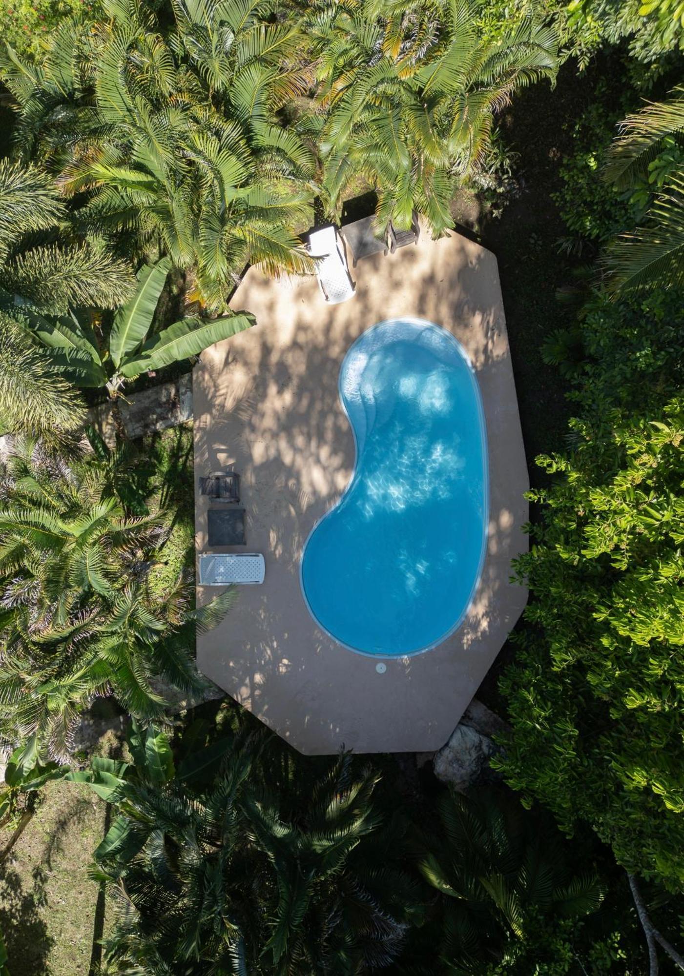 Sol Y Sombra Bed & Breakfast Bocas Town Dış mekan fotoğraf
