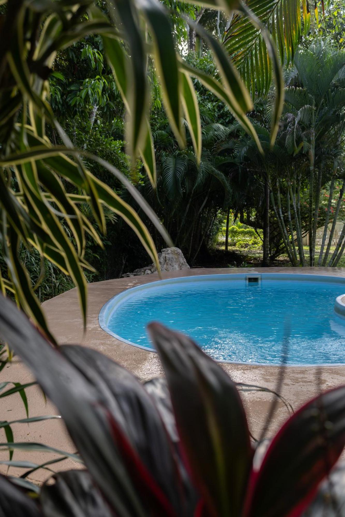 Sol Y Sombra Bed & Breakfast Bocas Town Dış mekan fotoğraf