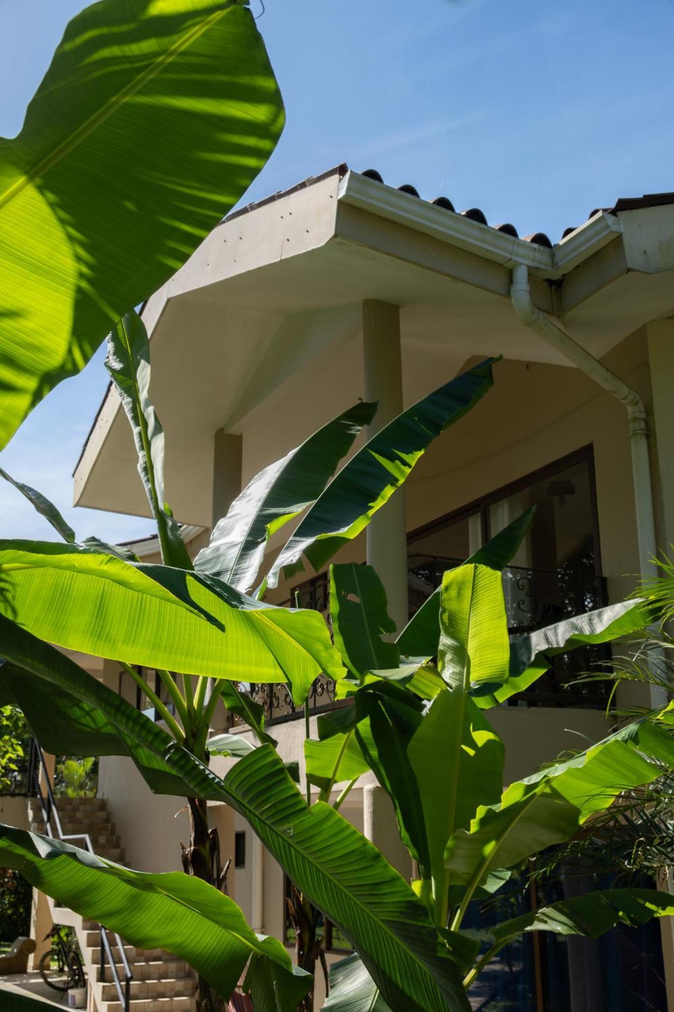 Sol Y Sombra Bed & Breakfast Bocas Town Dış mekan fotoğraf